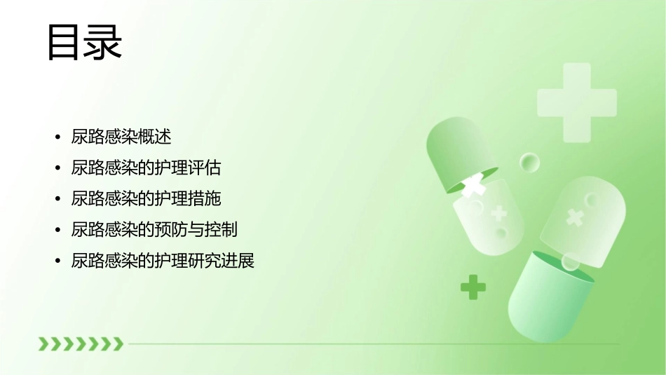 尿路感染教学护理课件_第2页