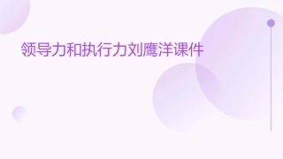 领导力和执行力刘鹰洋课件