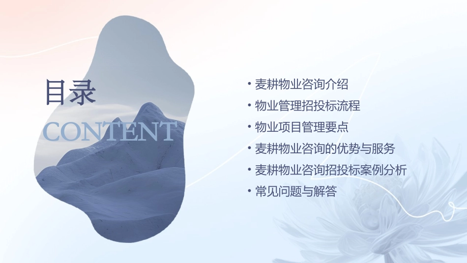 麦耕物业咨询物业管理招投标62页课件_第2页