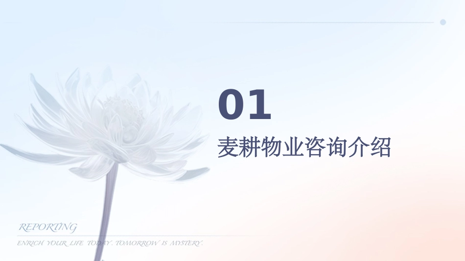 麦耕物业咨询物业管理招投标62页课件_第3页