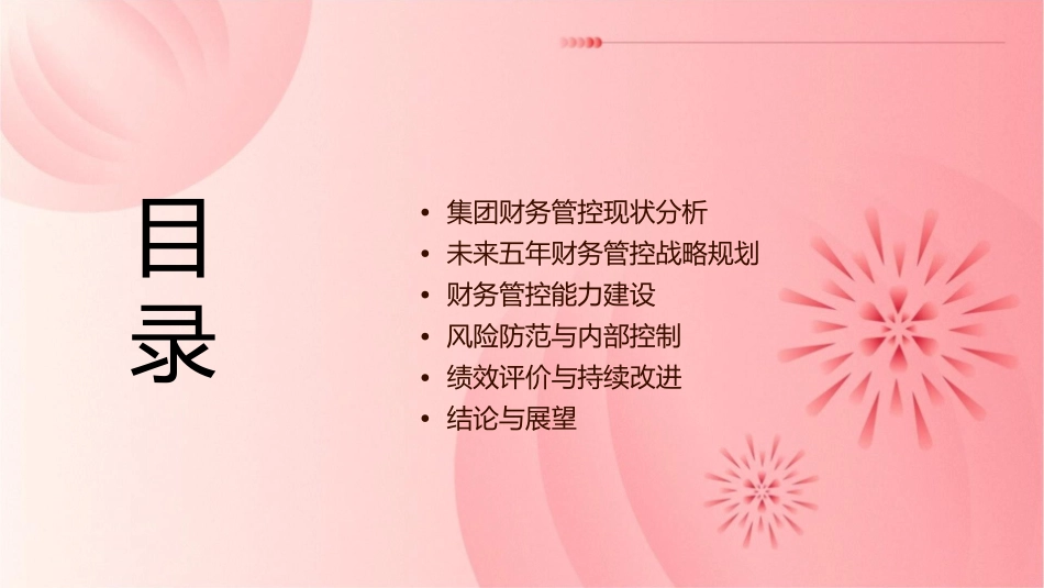 集团财务管控五年发展规划_第2页