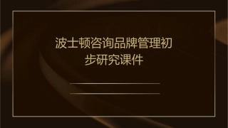 波士顿咨询品牌管理初步研究课件