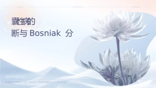 肾囊性病变的影像诊断与Bosniak分级护理课件