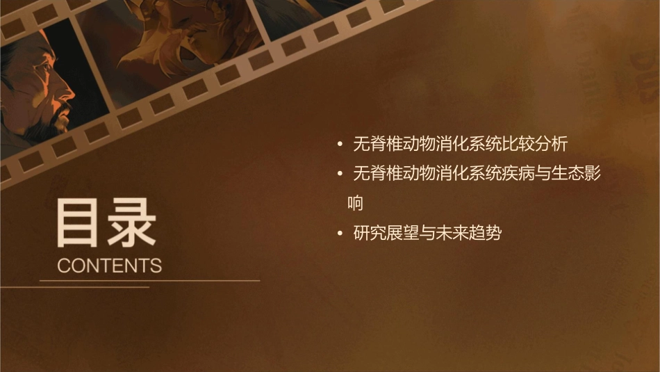 无脊椎动物消化系统比较剖析课件_第3页