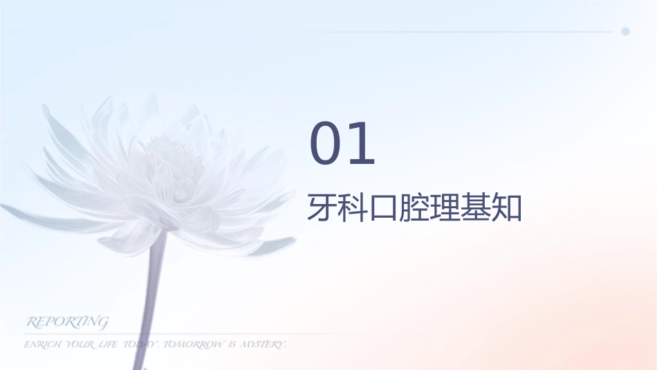 牙科口腔护理课件_第3页