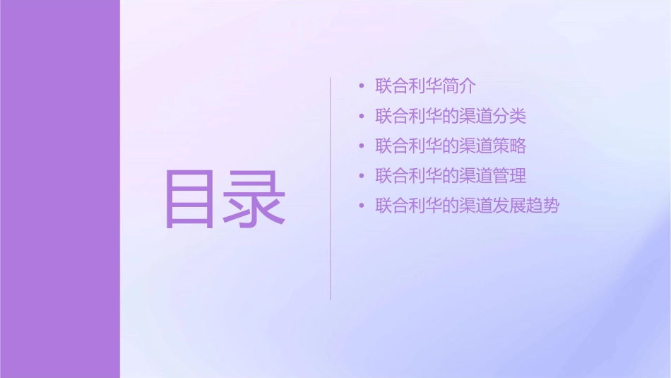 联合利华的渠道分类课件_第2页