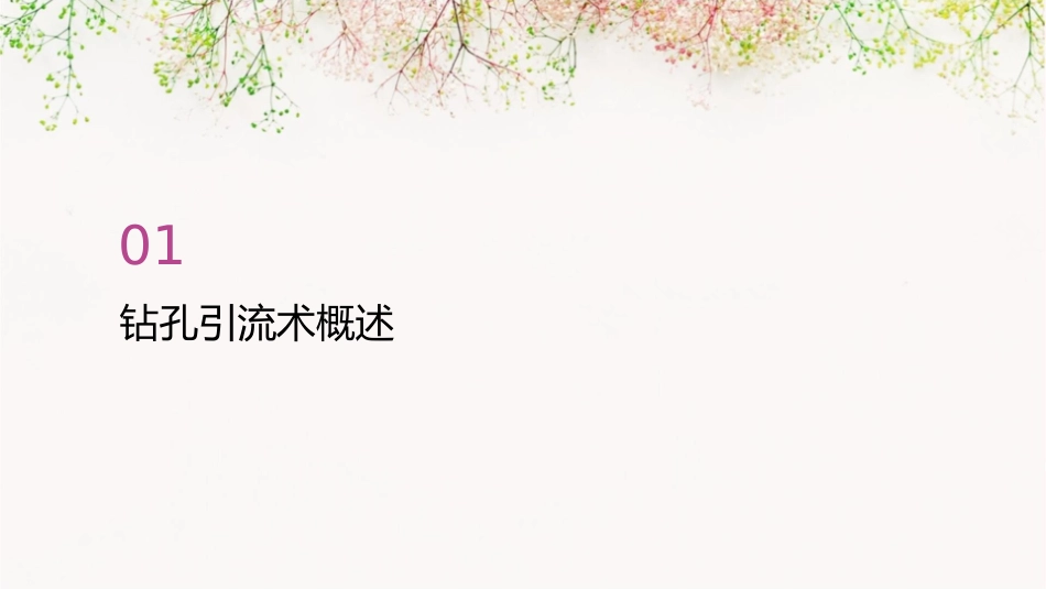 钻孔引流术护理课件_第3页