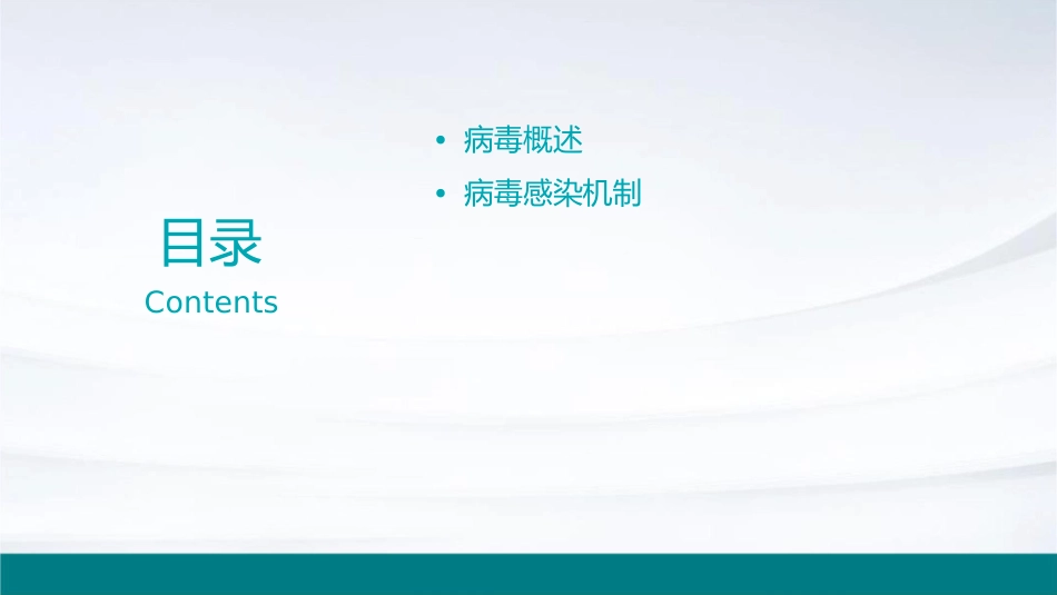 病毒护理课件_第2页