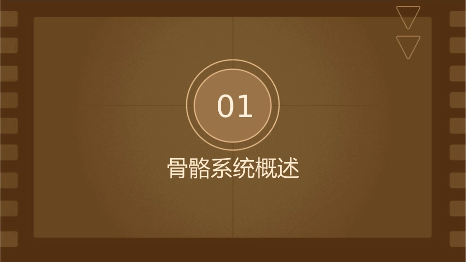 骨骼系统的解剖护理课件_第3页