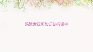 汤姆索亚历险记剖析课件