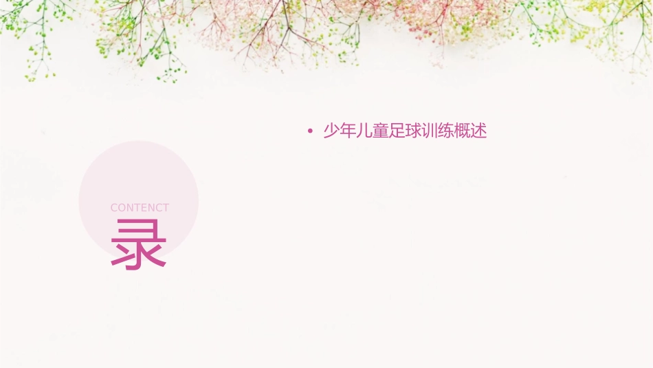少年儿童足球训练基本原则课件_第2页