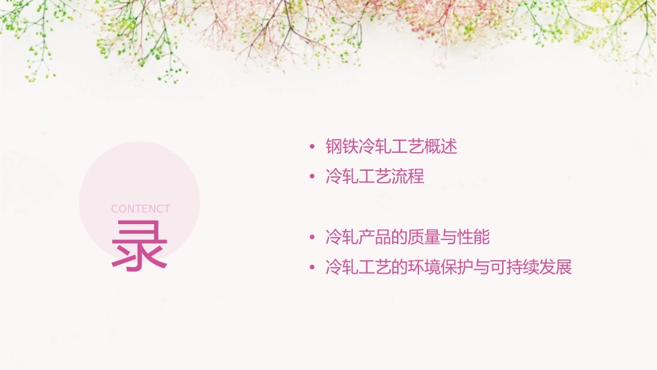 钢铁冷轧工艺概论课件_第2页