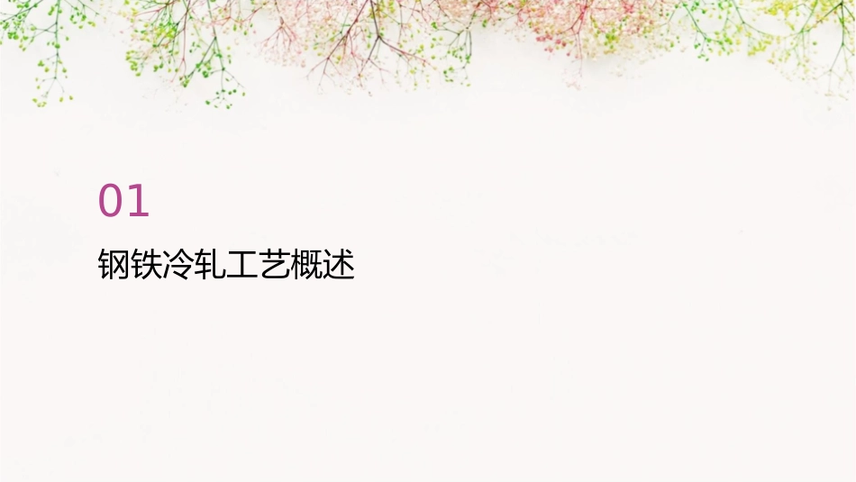 钢铁冷轧工艺概论课件_第3页