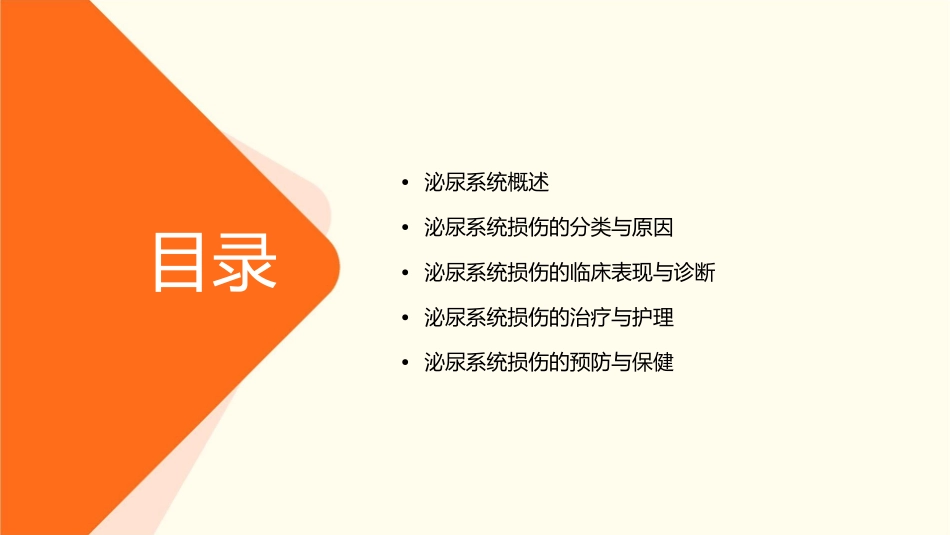 泌尿系统损伤教学护理课件_第2页