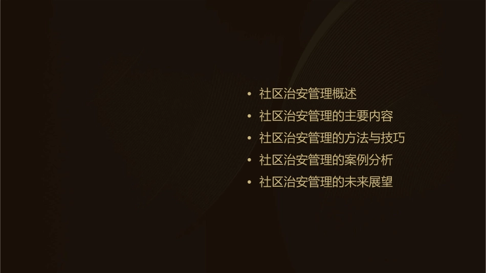 社区治安管理(精)课件_第2页