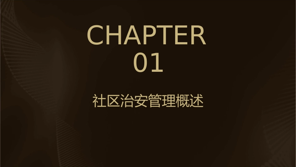 社区治安管理(精)课件_第3页