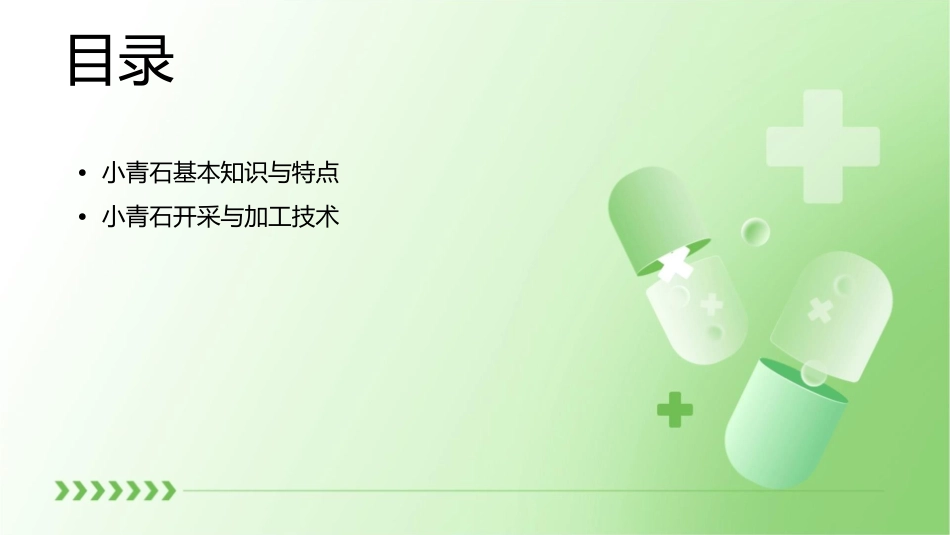 小青石演示文稿课件_第2页