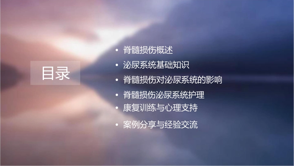 脊髓损伤泌尿系统护理课件_第2页