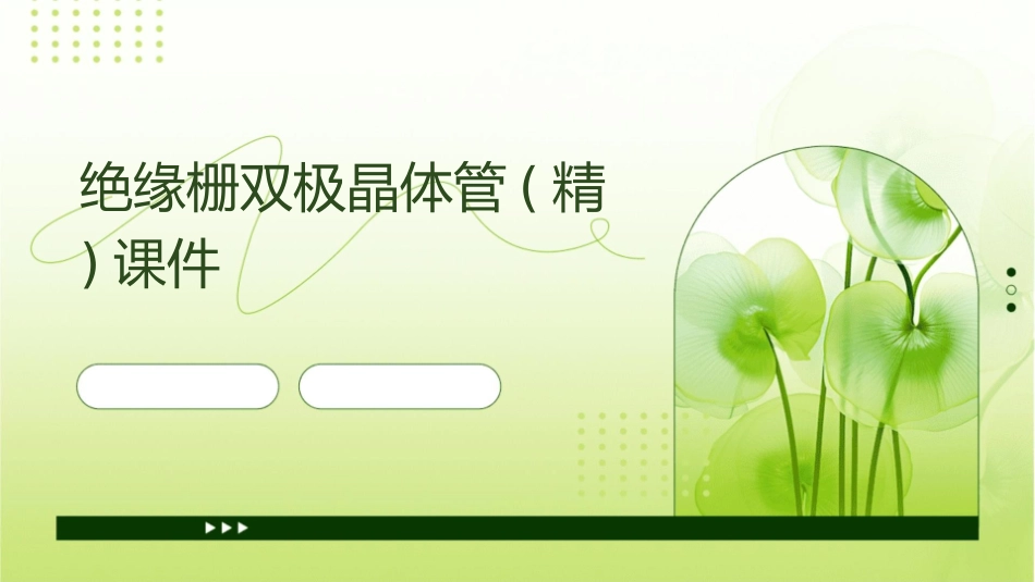 绝缘栅双极晶体管(精)课件_第1页