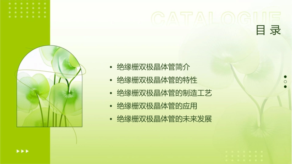 绝缘栅双极晶体管(精)课件_第2页