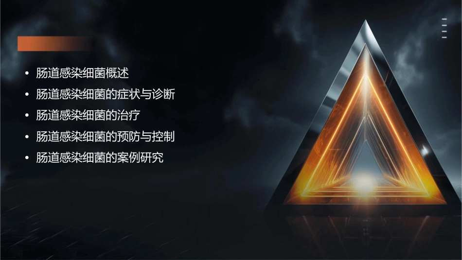 第十五章肠道感染细菌文档课件_第2页