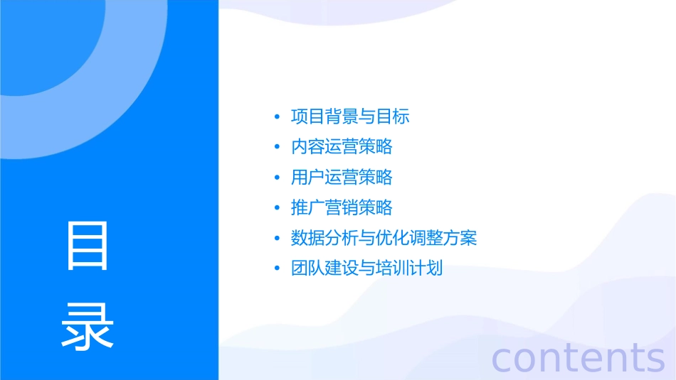 汽车门户网站运营执行方案课件_第2页