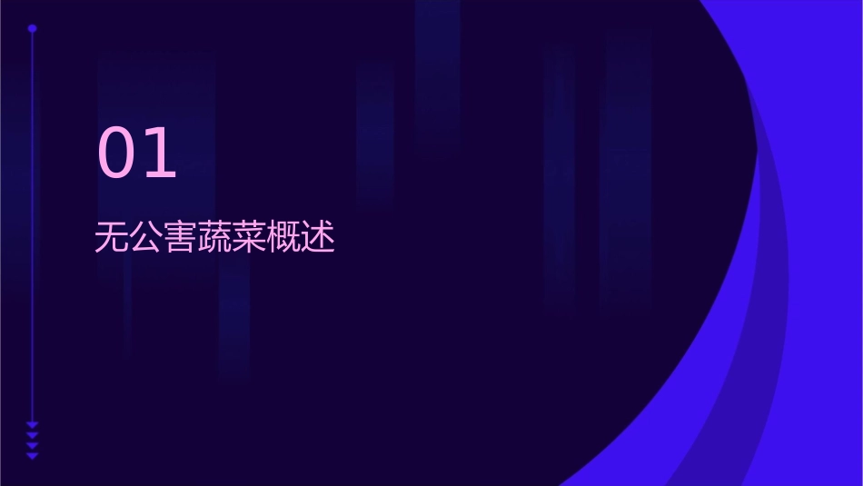 无公蔬菜安全质量标准课件_第3页