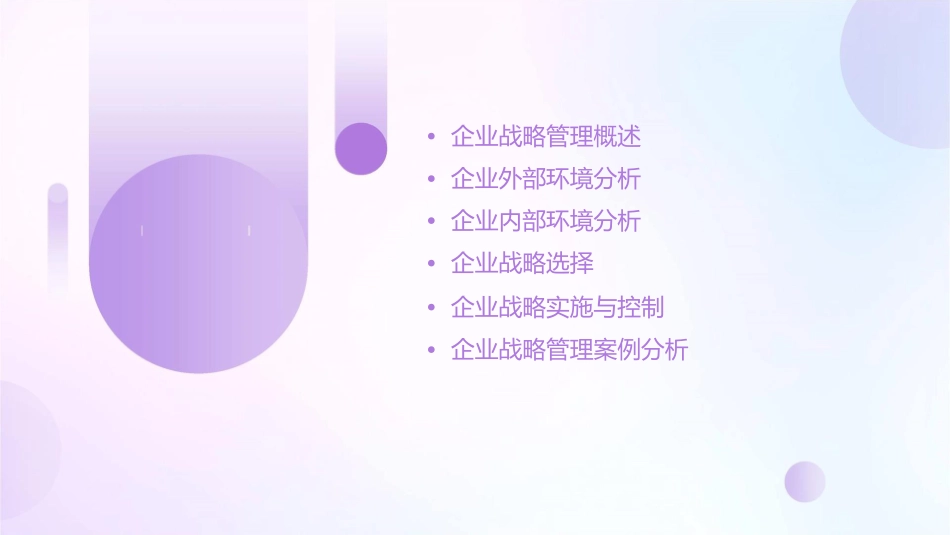 某大学的企业战略管理课件_第2页