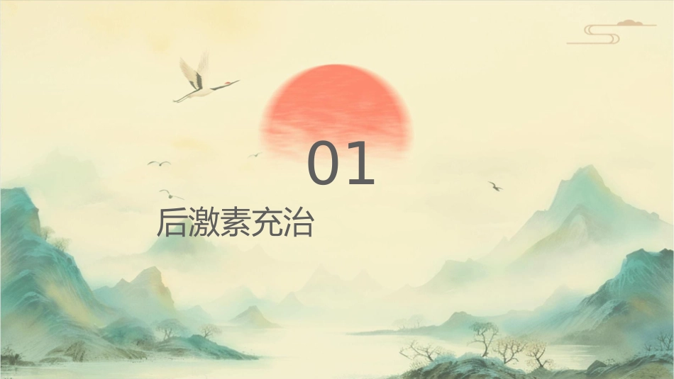 绝经后激素补充治疗护理课件_第3页