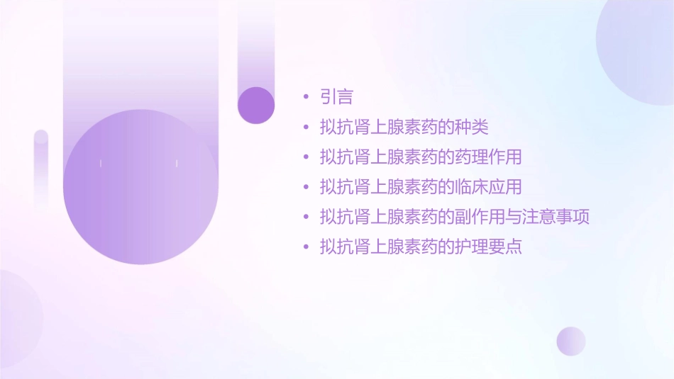 拟抗肾上腺素药综述护理课件_第2页