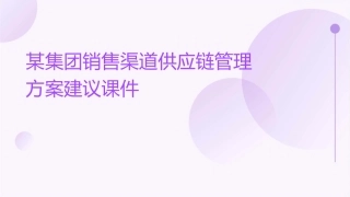 某集团销售渠道供应链管理方案建议课件