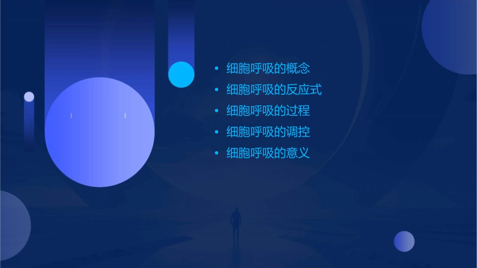 细胞呼吸的概念反应式和过程课件_第2页
