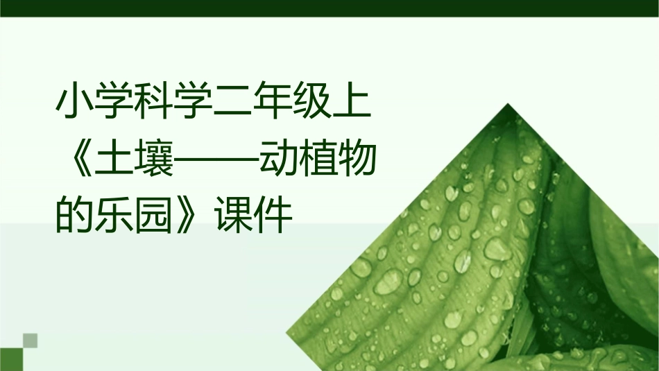 小学科学二年级上《土壤——动植物的乐园》课件_第1页