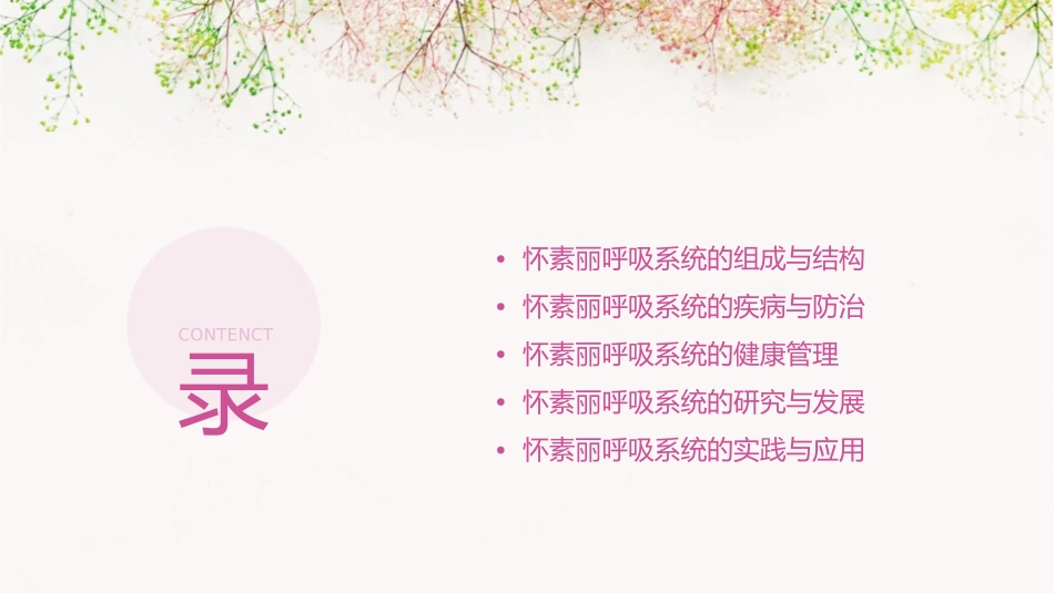 怀素丽呼吸系统课件_第2页