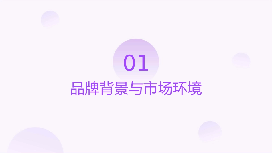 某服饰品牌提升及传播策略课件_第3页