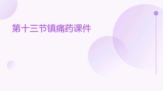 第十三节镇痛药课件