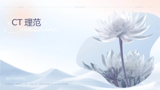 颅脑CT检查护理规范课件