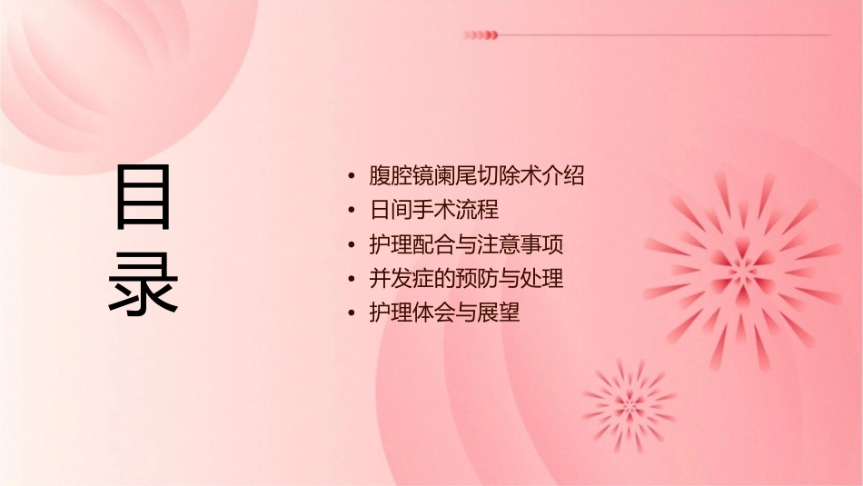 腹腔镜阑尾切除术日间手术流程护理课件_第2页