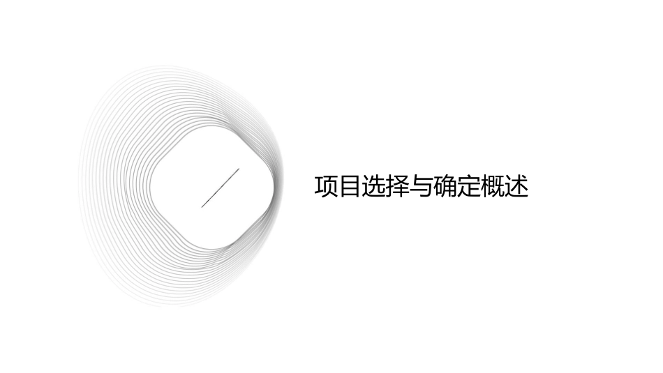 项目管理师资料之项目选择与项目确定课件_第3页
