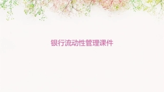 银行流动性管理课件