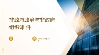 非政府政治与非政府组织课件