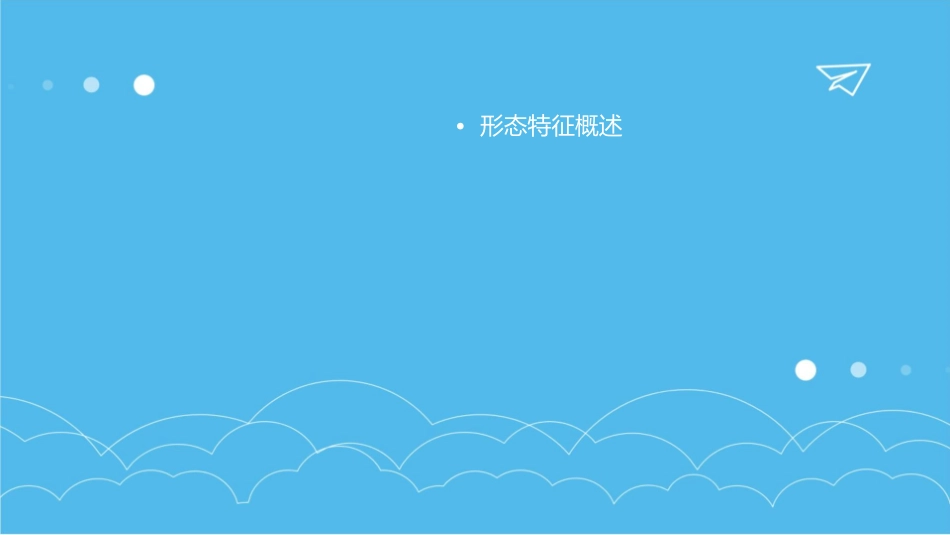 形态特征讲解课件_第2页