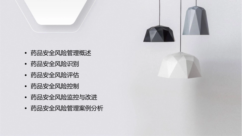 药品安全风险管理课件_第2页