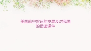 美国航空货运的发展及对我国的借鉴课件