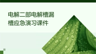 电解二部电解槽漏槽应急演习课件