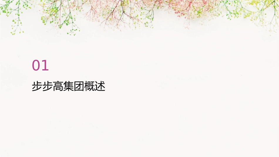 步步高集团介绍课件_第3页