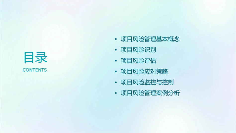 项目风险管理概述教学课件_第2页
