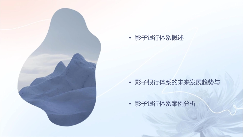 影子银行体系课件_第2页