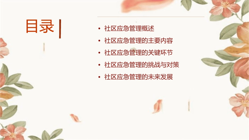 社区应急管理林课件_第2页