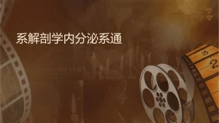 系统解剖学内分泌系统通用课件